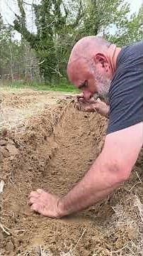 Middle Buster Plow + Asparagus = Perfect Planting!