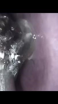 How did those boogers even fit in that nose?