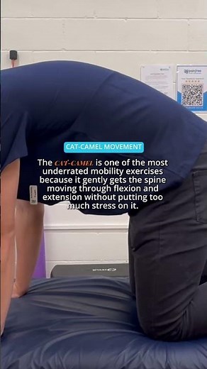 One of the most underrated mobility exercises? The cat-camel 🐈‍⬛