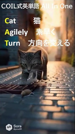 COIL式All In One CAT017