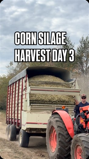 Day 3 of corn silage harvest🌽 Another late start and some tractor troubles but nothing we can’t handle! Looking like great yields and we are working at filling up our third ag bag! Any questions comment below! #higginsonfarms #cornsilage | Higginson Farms