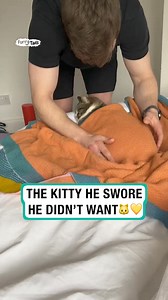 Tuck In Service | Furry Tails