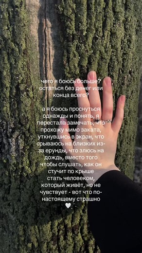 тгк нимфа🪷 #тихаяжизнь #Япония #осознанность #quietlife #буддизм | japan living