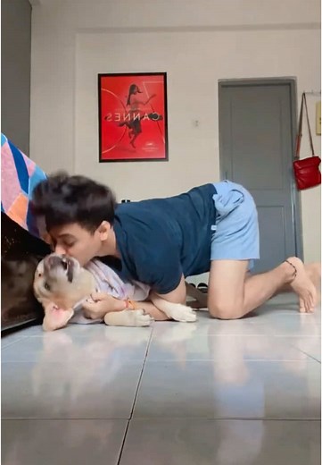 Chumma Lo Chumma Do: Dog Comedy Highlights