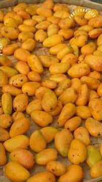 घर पर आम से शराब बनाने का अनोखा तरीका | Mango Wine Making Process | Desi Style #trendingshorts