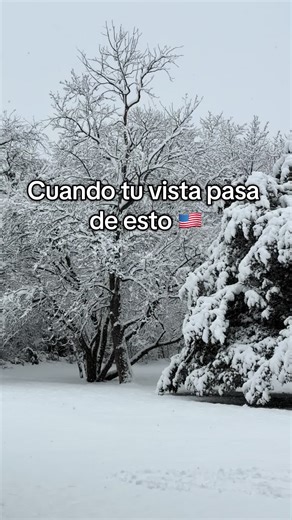 Exploring Salvadoran Culture and Community in the USA