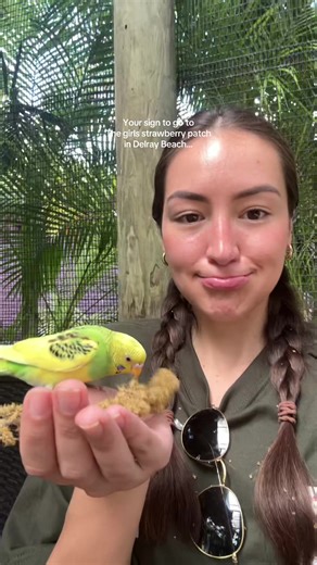 Discover the Bird Whisperer at The Girls Strawberry Patch