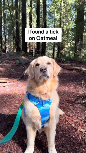 #ad Protecting Oatmeal on Adventures