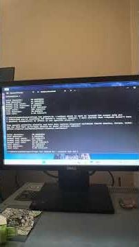 Gemma3:1b Offline on a 288GB Server (No GPU!)