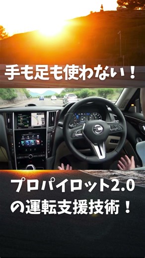 Free your hands and feet! ProPilot 2.0!