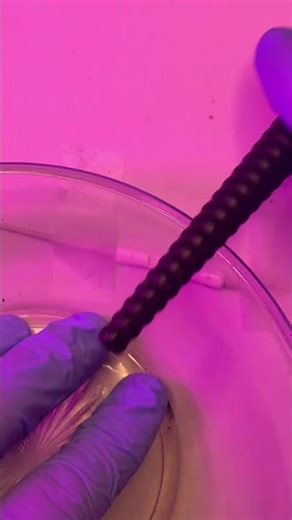 Crystal Glass Tapping with Makeup Brush Handle ✨ | Tingling ASMR