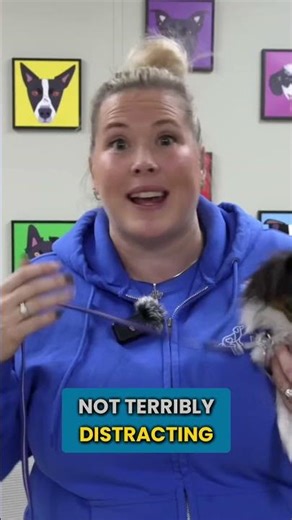 Is Your Puppy Failing Because Of This?