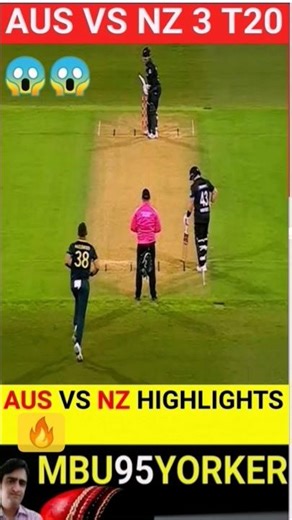 AUS vs NZ 3rd T20 Highlights | Australia Clean Sweep New Zealand #AUSvsNZ #T20Highlights #Cricket