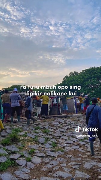 Miswanto on TikTok