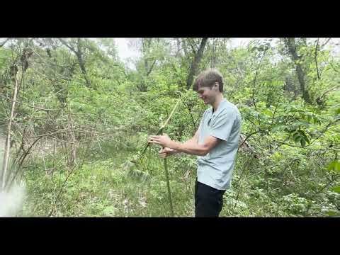 Foragers Find Forgotten Food Forest! Growers Show #19 BONUS EPISODE