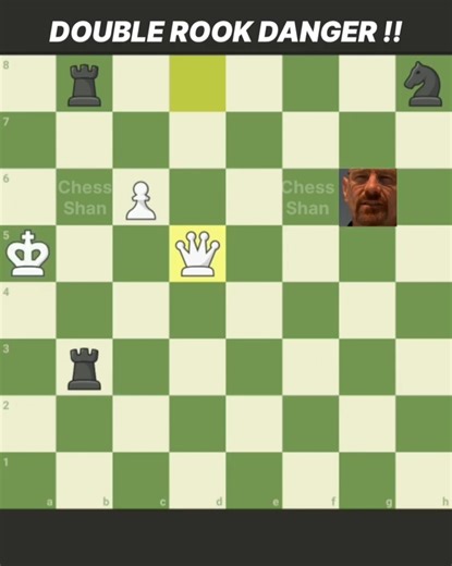 Twin Rook attacks the KING to CHECKMATE!!