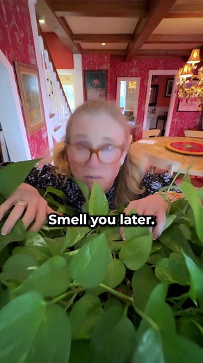 I'm a Voiceover Actor: Expert in Voice Acting