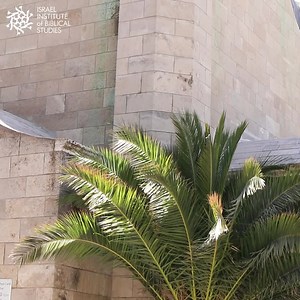 Hola, por favor, di tu nombre en voz alta. ¿Tiene algún significado en español? ¿Sabías que todos los nombres de la biblia tienen significados importantes y una razón por la que fueron llamados así? Cuando eres capaz de leer la Biblia en hebreo, posees una poderosa llave que abre la puerta a todos los misterios de las Escrituras. Haz clic en el enlace para comenzar tu viaje espiritual. 💖 | Instituto de Estudios Bíblicos de Israel