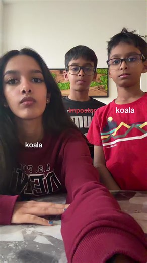 aight bro i forgot to turn off hint words and his hint was MARSUPIAL are u kidding me #fyp #xyzbca #impostor #siblings