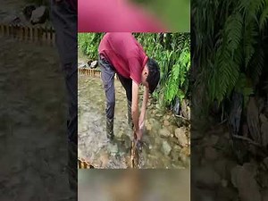 Step-by-Step Traditional Fishing Process