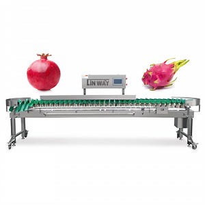 [Hot Item] Fully Automatic Vegetables and Fruits Weight Sorting Machine