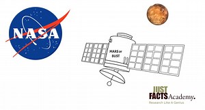 1.4K views · 87 reactions | Verification: Learn to separate fact from...