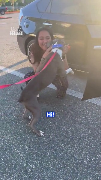 After Two Years and 450 Miles, a Lost Dog Finally Makes It Home