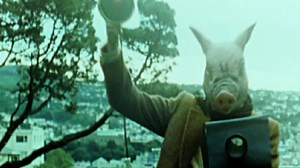 Loose Change | Music Video | NZ On Screen