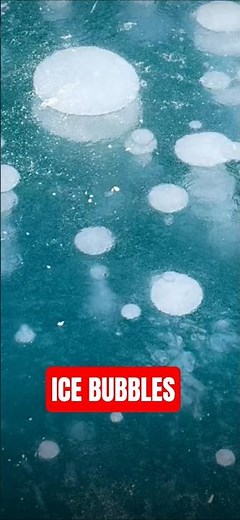 Frozen Abraham Lake Ice Bubbles ❄️🧊 | Winter 2026 Canada