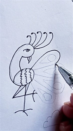 peacock drawing 🤩