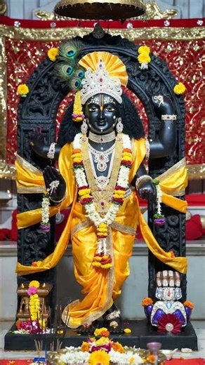 🙏🙏🙏🙏🙏🙏🙏🙏🙏