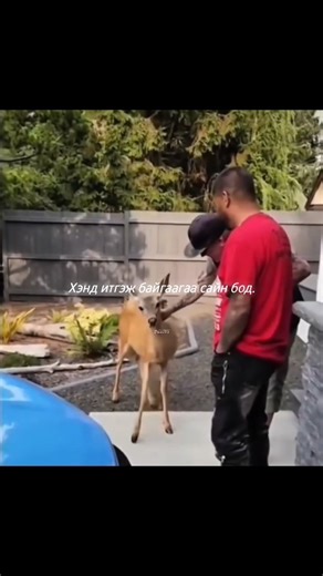 🫟 #fake #grownoninstagram #instaviews #reelviews #reelitfeelit #boostmyreels #dailygrow #reachmorepeople #digitalmonarch #fyp #exploremore #foryoupage #viralreels #explorepage #trendingreels #foryoupage #digitalmonarch | 𝗘𝗹𝗼𝗳𝘁