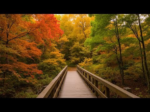 Beautiful Relaxing Music 🍁 Soothing Autumn Music For Stress Relief, Deep Relaxtion, Calm Nervous