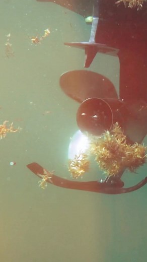 Engineered by hydrodynamic experts using advanced foiling software. Dramatically improves planing, reduces porpoising, enhances steering control. Thousands of satisfied customers report faster hole shots and smoother rides. Made in Florida, USA | Hydro-Shield