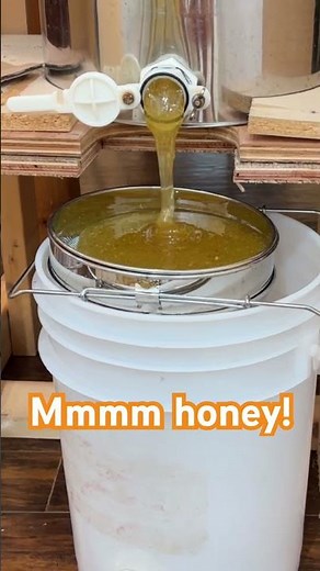 🍯 Sweet Honey from the Hive | Raw, Pure & Natural 🐝 #honey #honeybee #harvest #sweet #homemade