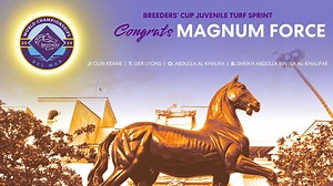 Magnum Force wins the $1 Million #BreedersCup Juvenile Turf Sprint on #FutureStarsFriday at Del Mar Racing! Congrats to all of the connections! Jockey: Colin Keane Trainer: Ger Lyons Owner: Abdulla Al Khalifa Breeder: Sheikh Abdulla bin Isa Al-Khalifa | Breeders' Cup World Championships
