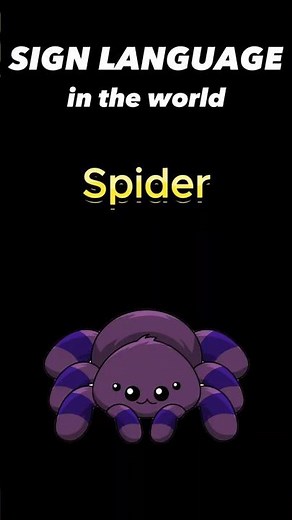 [World Sign Languages] How to Sign 'Spider' in 5 Different Countries #signlanguage #shorts #Spider