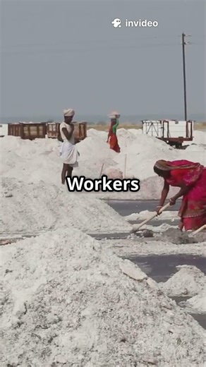 The Salty Secret: How Table Salt is Made! #lifetips101