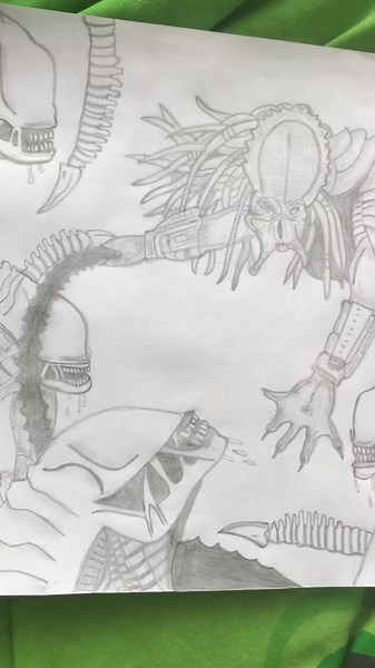 #predator #drawing #alien #xenomorph #fyp #fypシ #foryoupage #art #drawing #alienvspredator