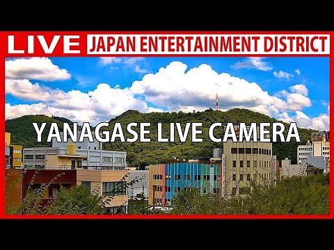 【LIVE】岐阜市 ライブカメラ Gifu Yanagase LIVE camera