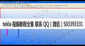 tekla全套入门(视频教程----入门到)精通