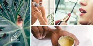 New EU Ecolabel criteria for cosmetics and animal care products for committed industry, consumers and pet lovers