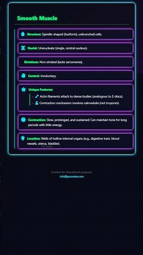 Smooth and Cardiac Muscle: Unique Characteristics and Contraction