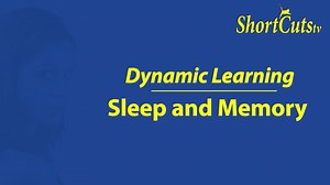 Dynamic Learning: Sleep and Memory