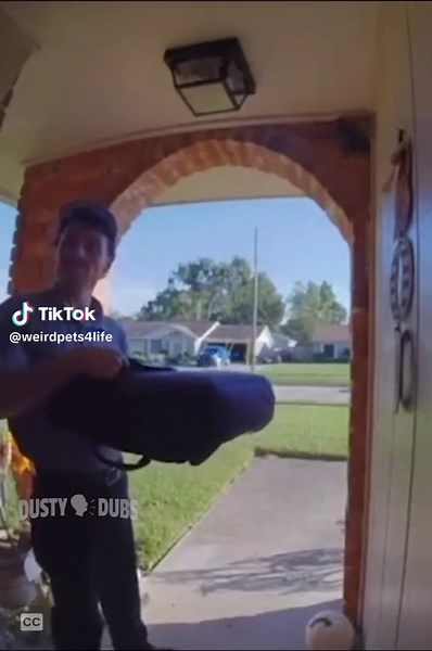 Funny Special Delivery Meme with Barbra at Dusty Dubs