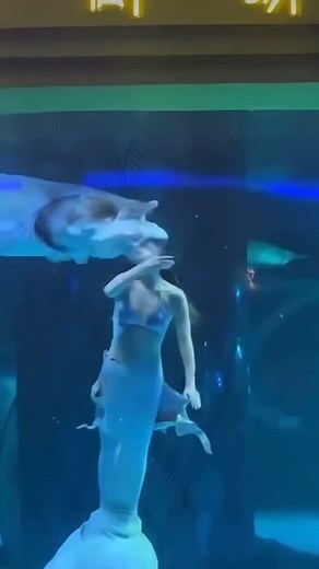 mmee.eellyy on Instagram: "Mermaid gets eaten by sturgeon 😱😰 #crazy #insane #funny #fish #mermaid #bigfish #scary #real #videos #crazyvideos #scaryvideos #neardeath #tiktok #instagram #foryoupage #reels #fyp #viral #mermaid #recommended #water #fish"