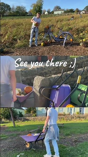 We went hunting for pumpkins… not to carve, but to code. 🎃💻