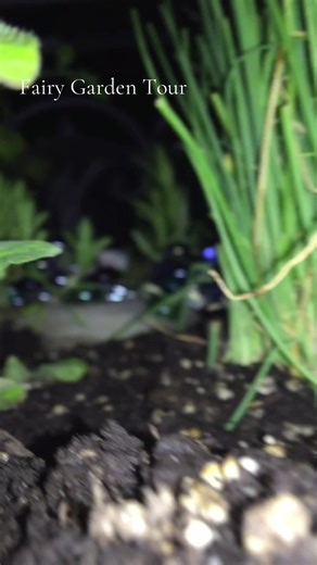 Our fairy garden rule is everything has to be found objects, hand made or upcycled. The plant rules are all plants are edible, thyme, rosemary, tomatoes, etc.