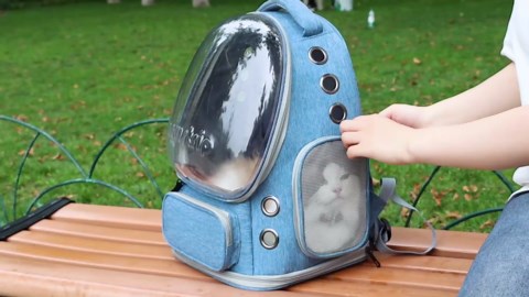 Cat Backpack Carrier with Bubble Window, Breathable & Foldable Pet Travel Carrier for Small Dogs and Cats, Airline-Approved for Hiking & Outdoor Use