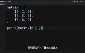 Python 二维列表